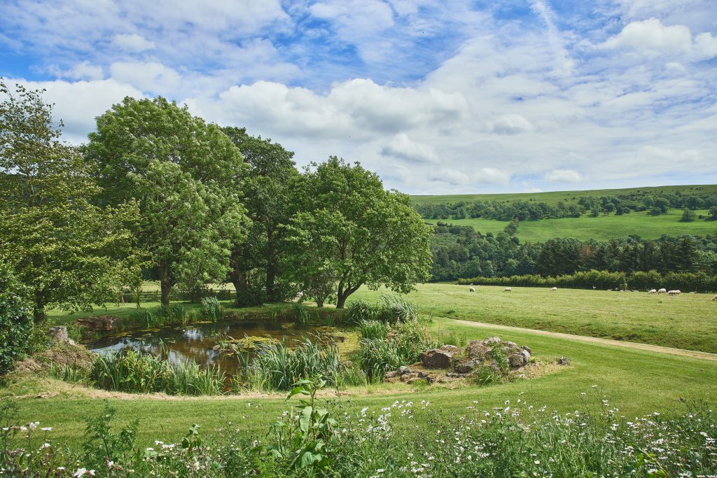 A stunning backdrop for every visit.