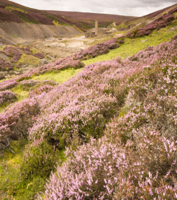 North York Moors National Park